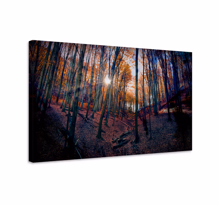 Tableau paysages Éclat de forêt en automne - TenStickers
