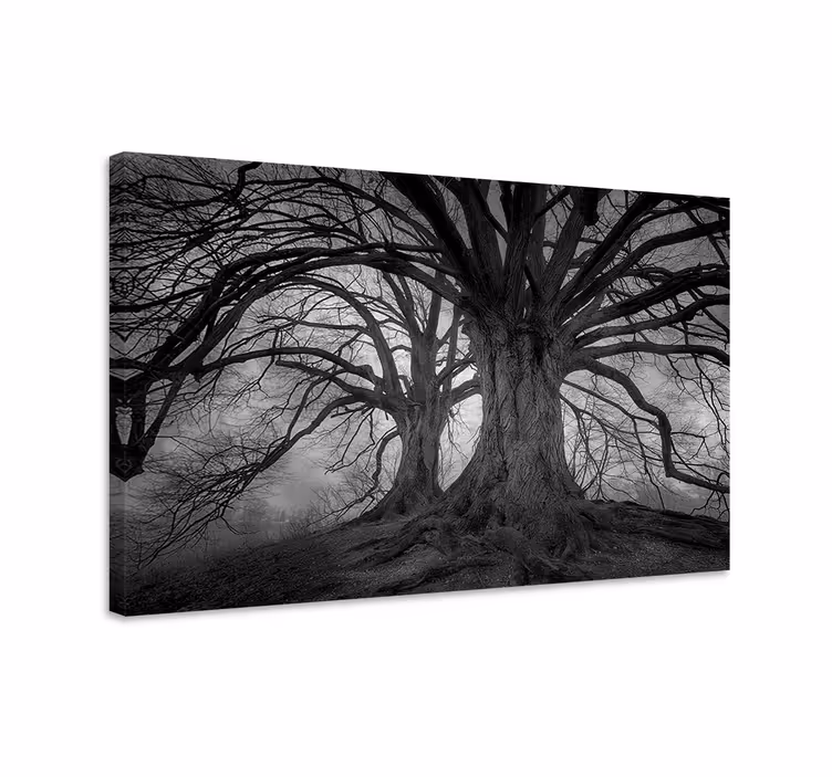 Tableau arbres arbres mystérieux sans feuilles - TenStickers