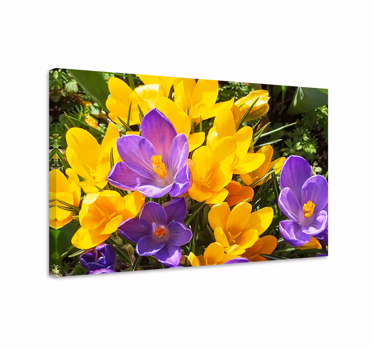 Tableau fleurs et plantes Éclatantes fleurs de printemps - TenStickers