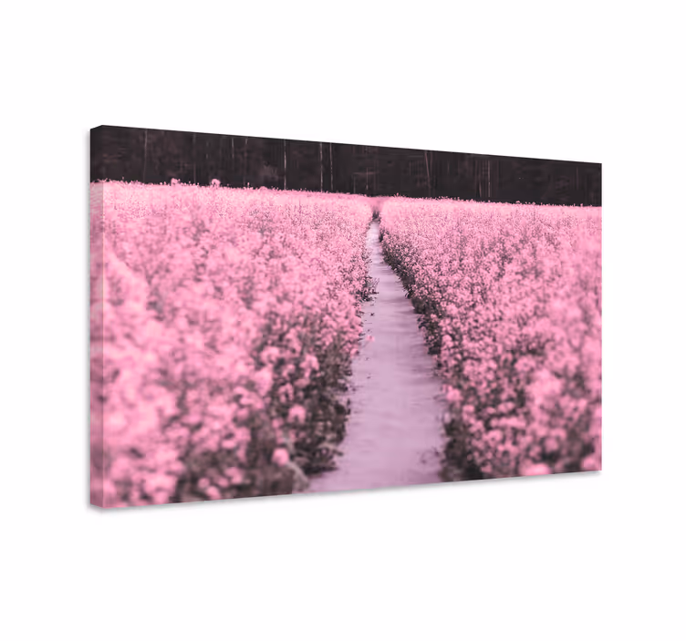 Tableau fleurs et plantes chemin à travers les fleurs - TenStickers