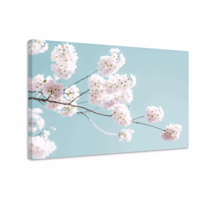Tableau fleurs et plantes tige de fleurs sakura - TenStickers