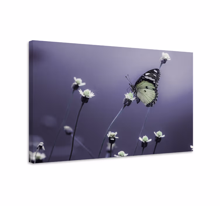 Tableau papillons papillon parmi les fleurs - TenStickers