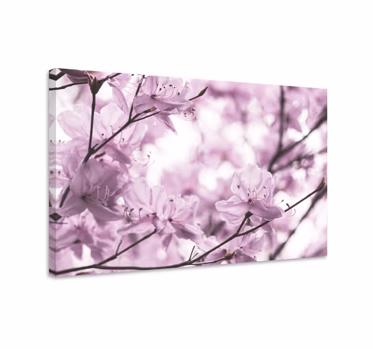 Tableau fleurs et plantes Éclat de fleurs délicates - TenStickers