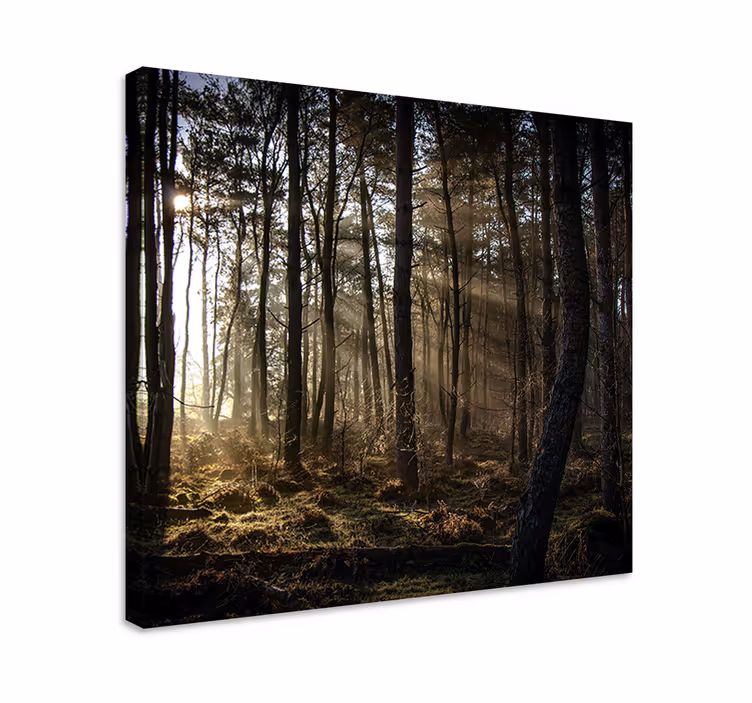 Tableau paysages scène de forêt enchantée - TenStickers
