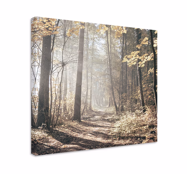 Tableau paysages chemin couvert de brume - TenStickers