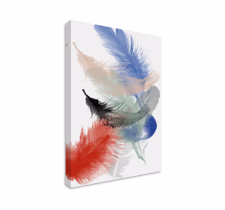 Tableau plumes affichage coloré de plumes - TenStickers