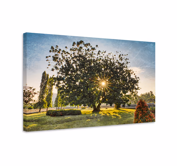 Tableau arbres silhouette d'arbre majestueuse - TenStickers