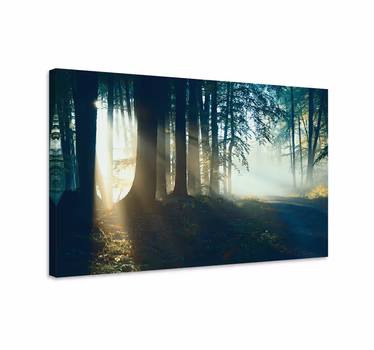Tableau paysages sentier bois brumeux - TenStickers