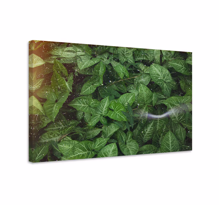 Tableau fleurs et plantes feuilles vertes Éclatantes - TenStickers