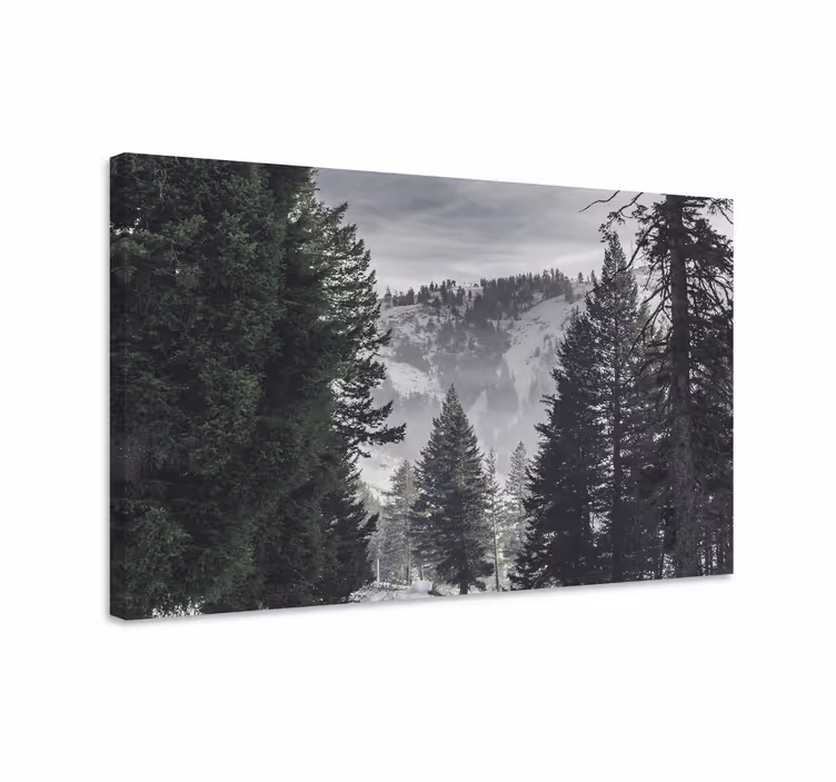 Tableau paysages scène de montagne majestueuse - TenStickers