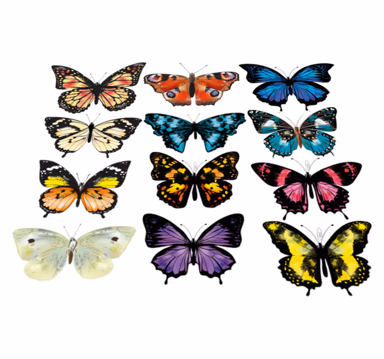 Tapis vinyle animal illustration de papillon - TenStickers