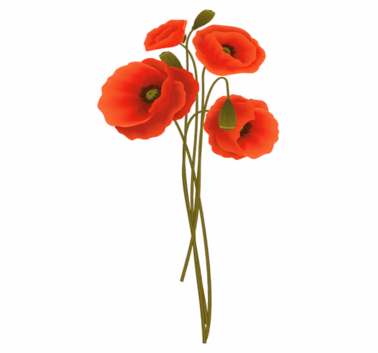 Tapis vinyle salle de bain poppies délicates - TenStickers