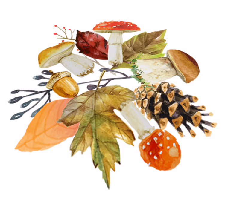 Tapis vinyle nature feuilles et fruits de forêt - TenStickers