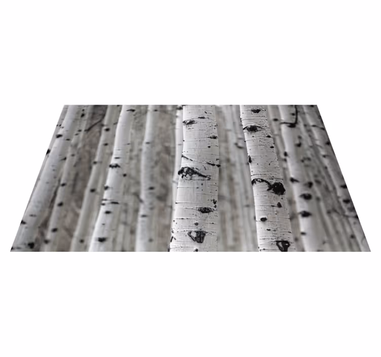 Tapis vinyle nature scène de forêt de bouleaux - TenStickers