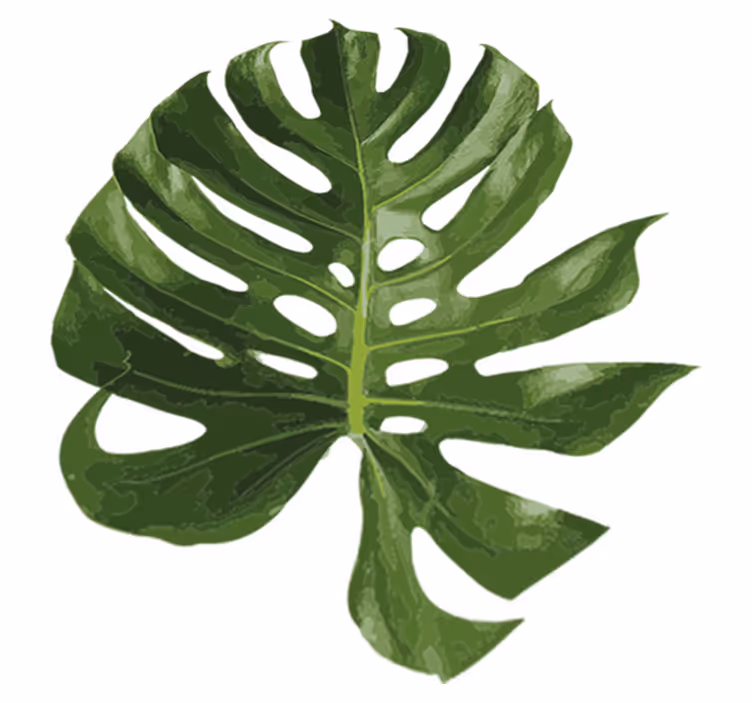 Tapis vinyle fleurs et plantes feuille de monstera - TenStickers