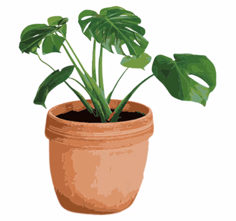 Tapis vinyle fleurs et plantes pot de monstera simple - TenStickers