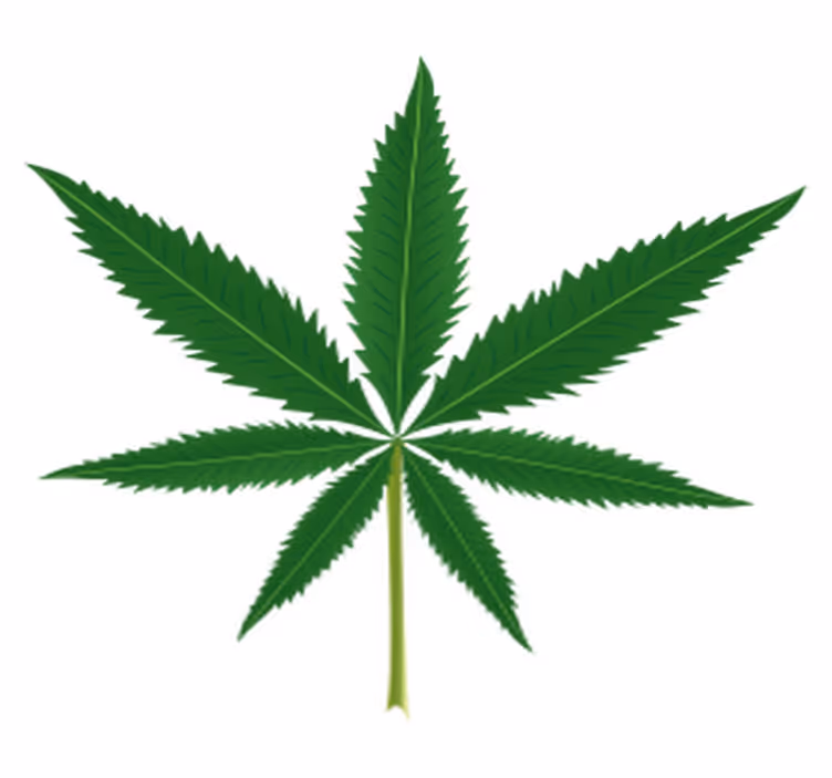 Tapis vinyle fleurs et plantes feuille de cannabis - TenStickers
