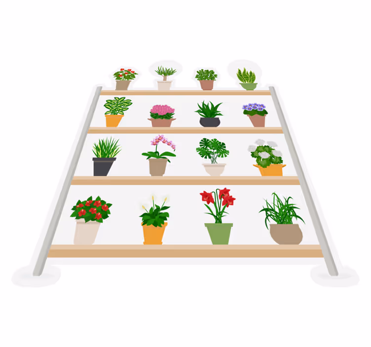 Tapis vinyle cuisine plantes d'intérieur sur étagères - TenStickers