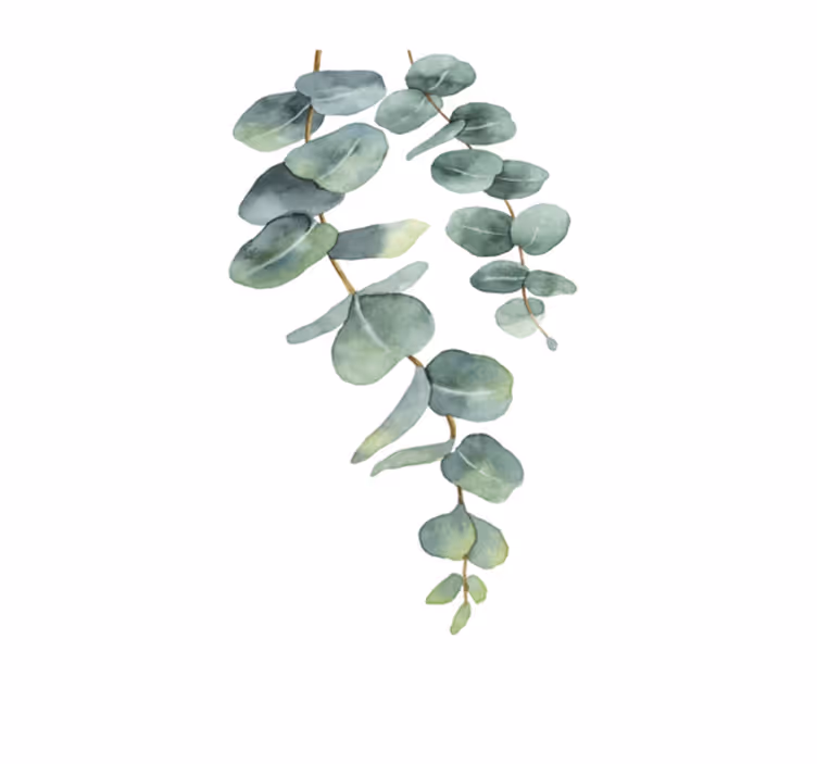 Tapis vinyle fleurs et plantes brindilles d'eucalyptus - TenStickers