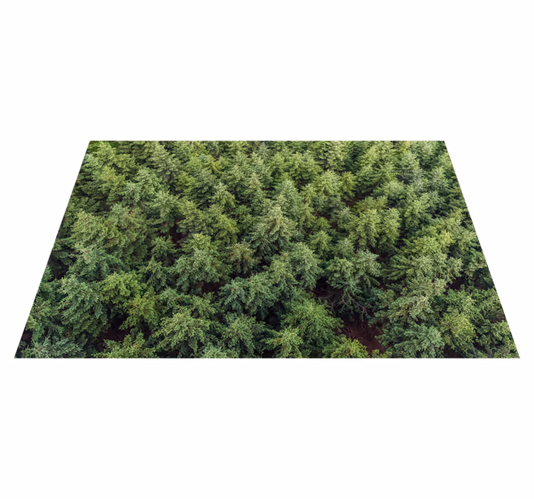 Tapis vinyle nature vue aérienne de la forêt - TenStickers