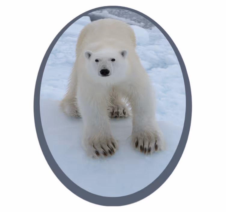 Tapis vinyle animal image d'ours polaire - TenStickers