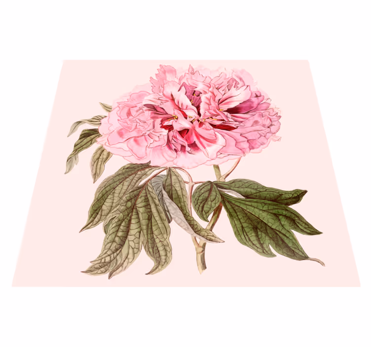 Tapis vinyle fleurs et plantes fleur de pivoine rose - TenStickers