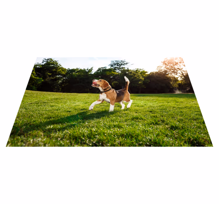 Tapis vinyle animal joyeux beagle qui court - TenStickers