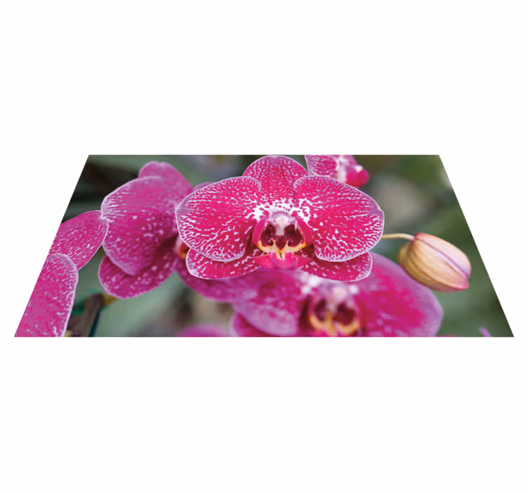 Tapis vinyle fleurs et plantes fleurs d'orchidée vibrantes - TenStickers