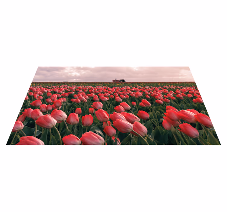 Tapis vinyle nature champ de tulipes vibrant - TenStickers