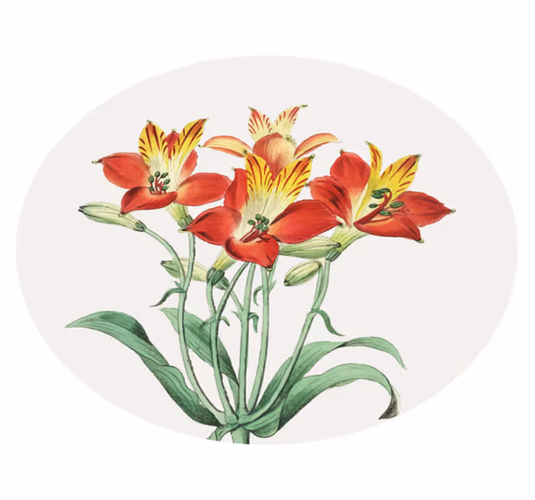 Tapis vinyle fleurs et plantes fleurs rouges vives - TenStickers