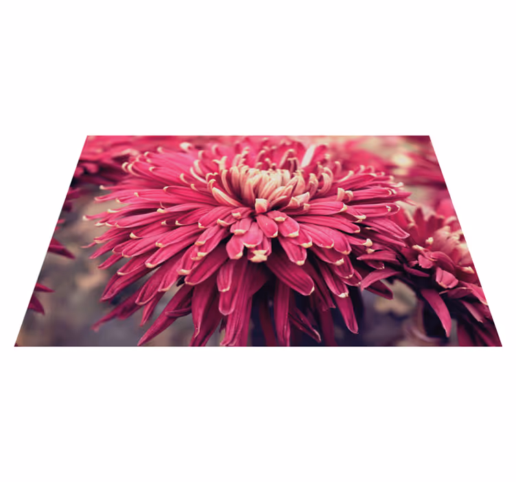 Tapis vinyle fleurs et plantes chrysanthème réaliste - TenStickers