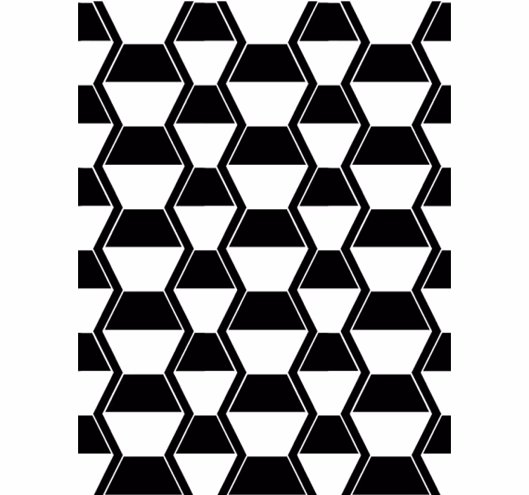 Papier peint salon hexagones noirs et blancs cosmopolites - TenStickers
