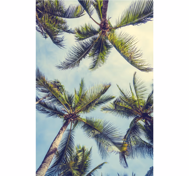 Papier peint arbres palmiers en bas - TenStickers