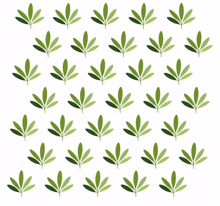 Papier peint feuillage palmier doux - TenStickers
