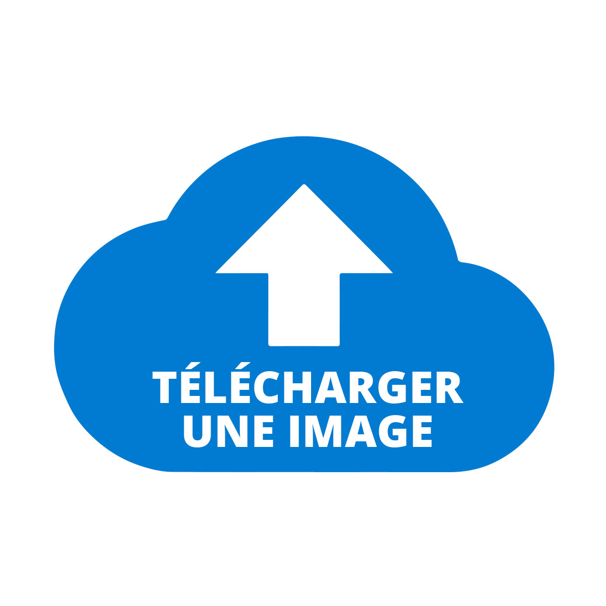 Télécharger une image