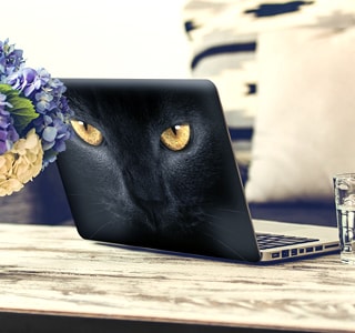 Stickers pour ordinateur portable