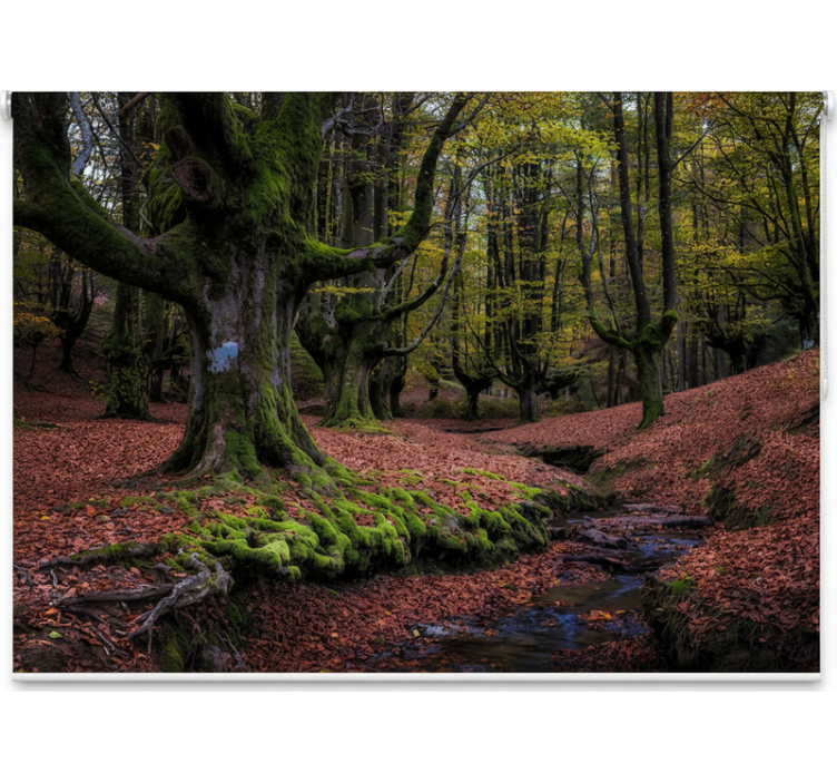 Store enrouleur arbre forêt enchantée d'automne - TenStickers