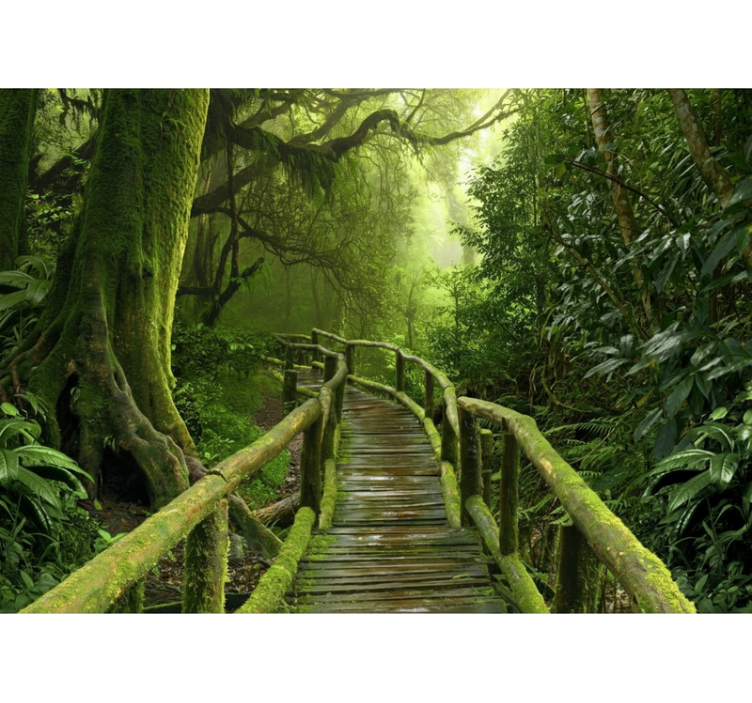 Store enrouleur arbre chemin de planches luxuriant - TenStickers