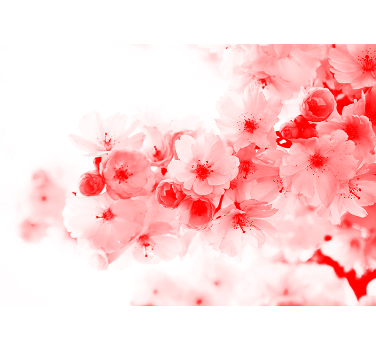 Store enrouleur blanc papier peint - buisson rouge - TenStickers