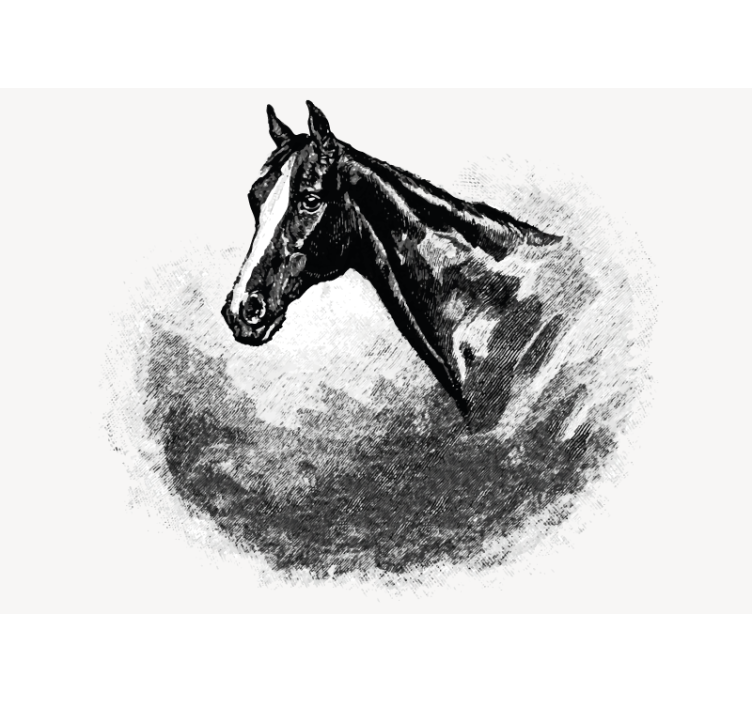 Store enrouleur blanc chevaux en graphite - TenStickers