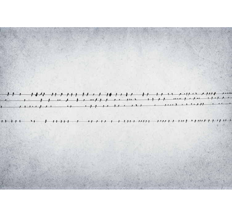 Store enrouleur blanc concert d'oiseaux sur lignes - TenStickers