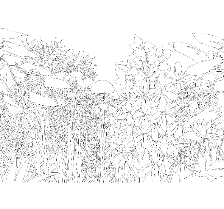 Store enrouleur blanc croquis de jungle tropicale - TenStickers
