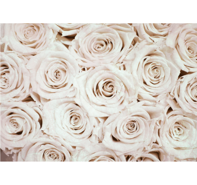 Store enrouleur blanc design de fleurs roses élégant - TenStickers