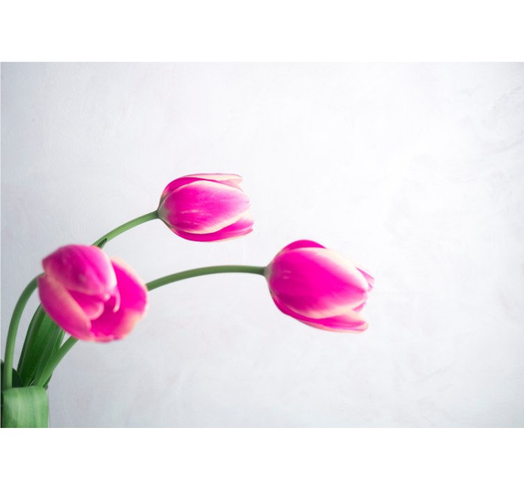 Store enrouleur blanc trois tulipes fond blanc - TenStickers