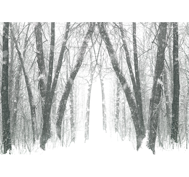 Store enrouleur blanc arbres d'hiver en forêt - TenStickers