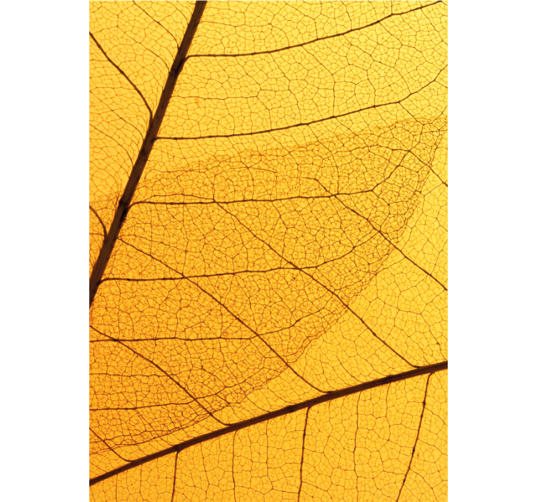 Store enrouleur jaune motif feuilles botaniques - TenStickers