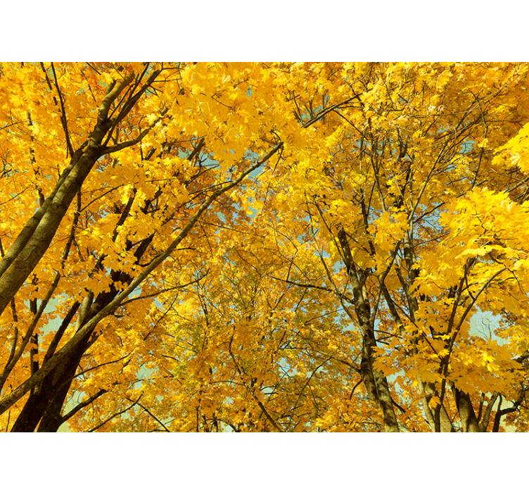 Store enrouleur jaune feuilles d'automne jaunes - TenStickers