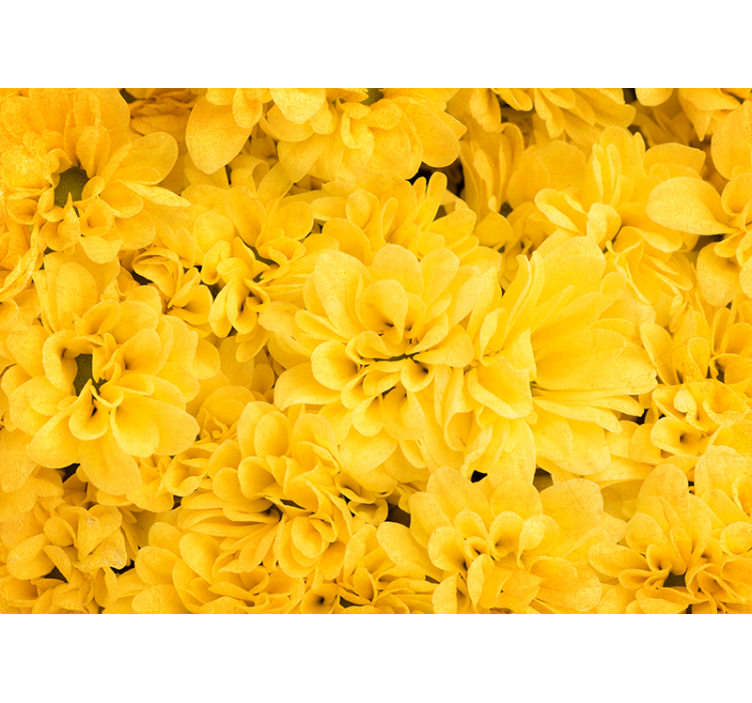 Store enrouleur jaune pétales de fleurs - TenStickers