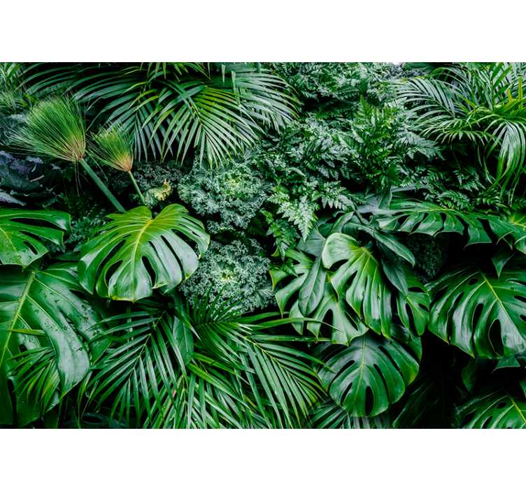 Store enrouleur vert jungle pluvieuse - TenStickers