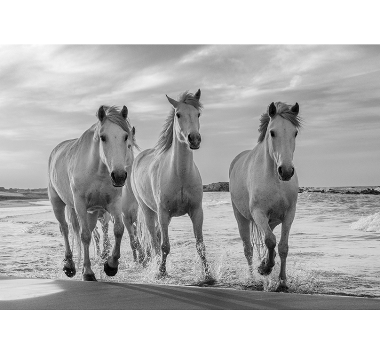 Store enrouleur blanc chevaux qui courent - TenStickers